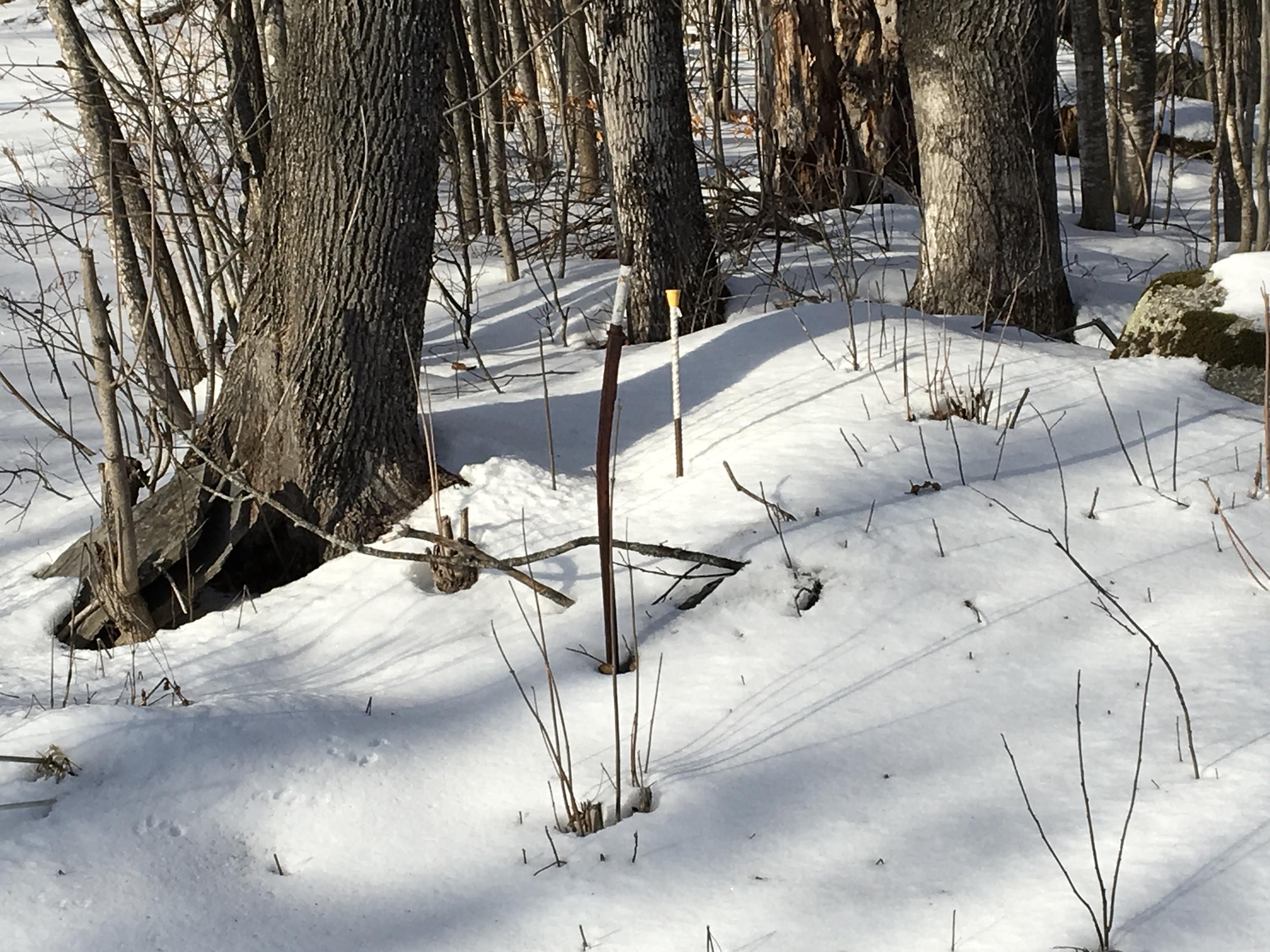 On Foss Hill Road Garland, ME 04939 - Photo 10 of 15 Photo Dec 07, 1 45 29 PM