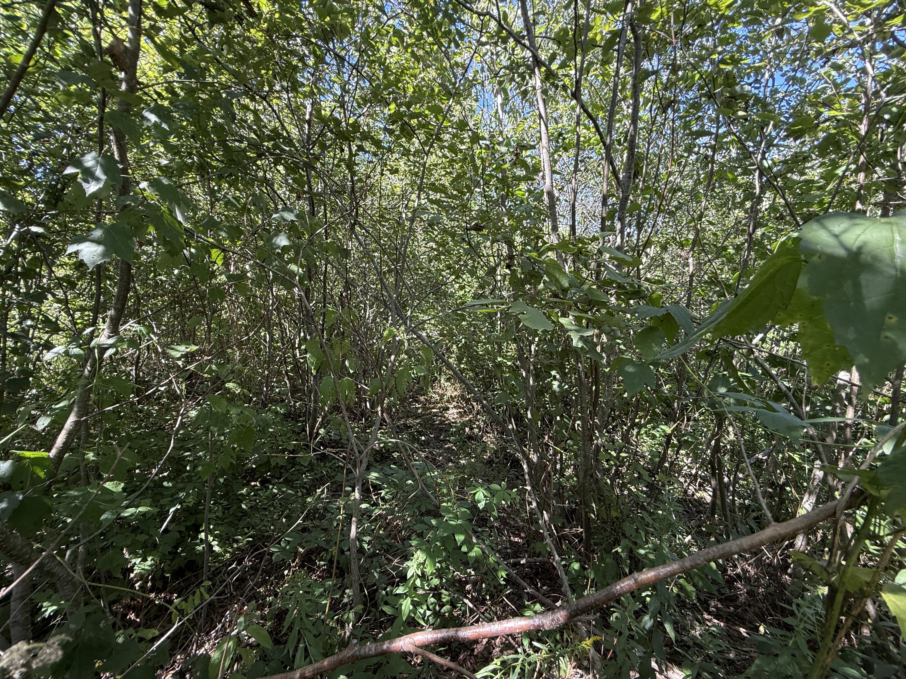 9 A Clark Road Kenduskeag, ME 04450 - Photo 2 of 3 IMG_9188