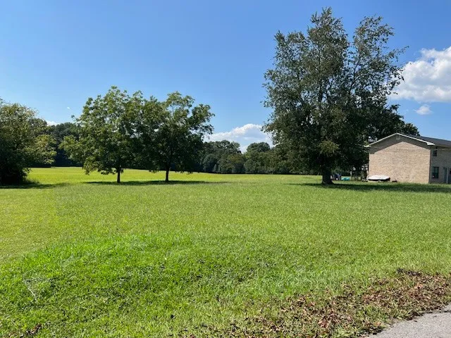 a view of a green field with wooden fence