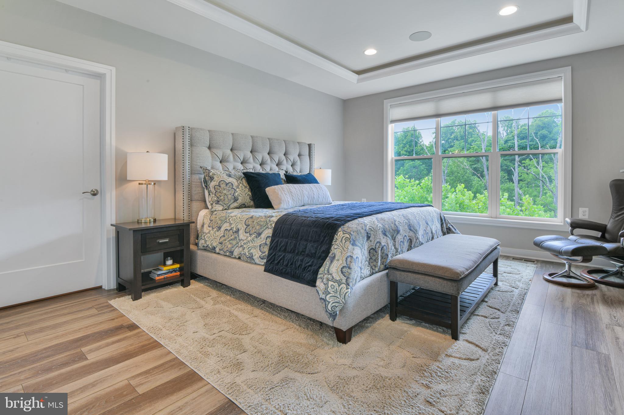 4756 Plum Road Monrovia, MD 21770 - Photo 12 of 55 Spacious Primary Suite