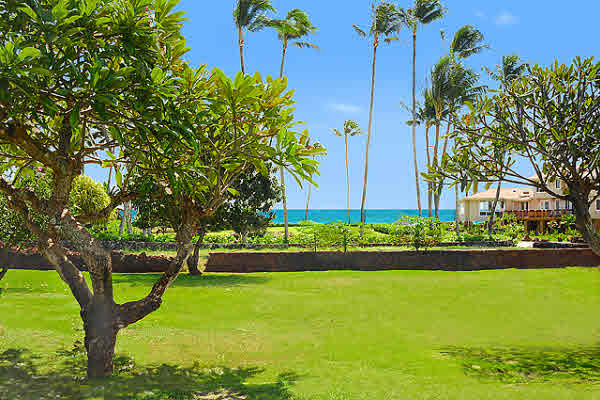 4 Pane Road Koloa, HI 96756 - Photo 1 of 3 a view of a garden with a tree