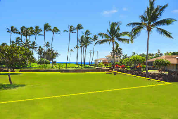 4 Pane Road Koloa, HI 96756 - Photo 2 of 3 a view of swimming pool with palm trees