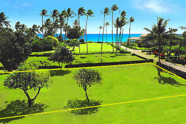 4 Pane Road Koloa, HI 96756 - Photo 3 of 3 a view of a swimming pool