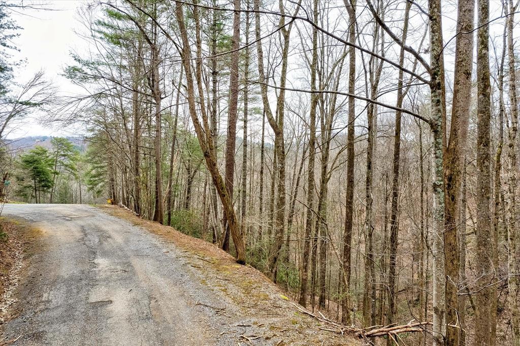 13 Sunset Road Sevierville, TN 37862 - Photo 2 of 27 Gallery Image 2
