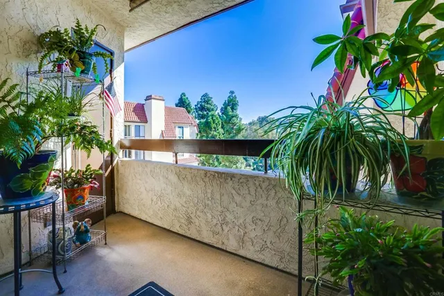 a potted plant sitting in front of a house