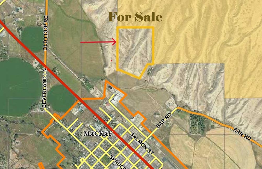 Bar Road Mackay, ID 83251 - Photo 2 of 12 Custer County MP 50 Acres with arrow