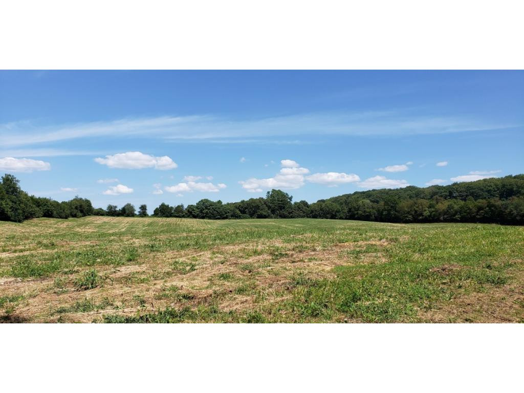 1955 Happy Valley Road Limestone, TN 37681 - Photo 3 of 5 Photo 3