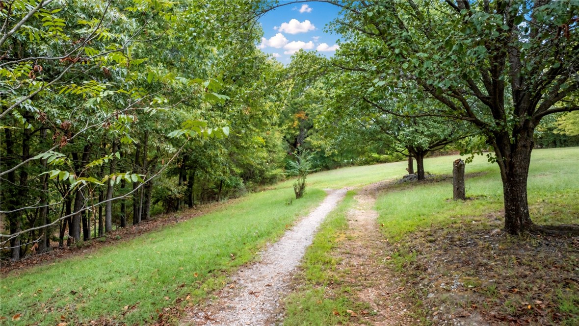 22016 War Eagle Blacktop Road Springdale, AR 72764 - Photo 25 of 32 Gallery Image 25