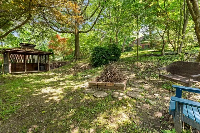 a view of a yard with plants and trees