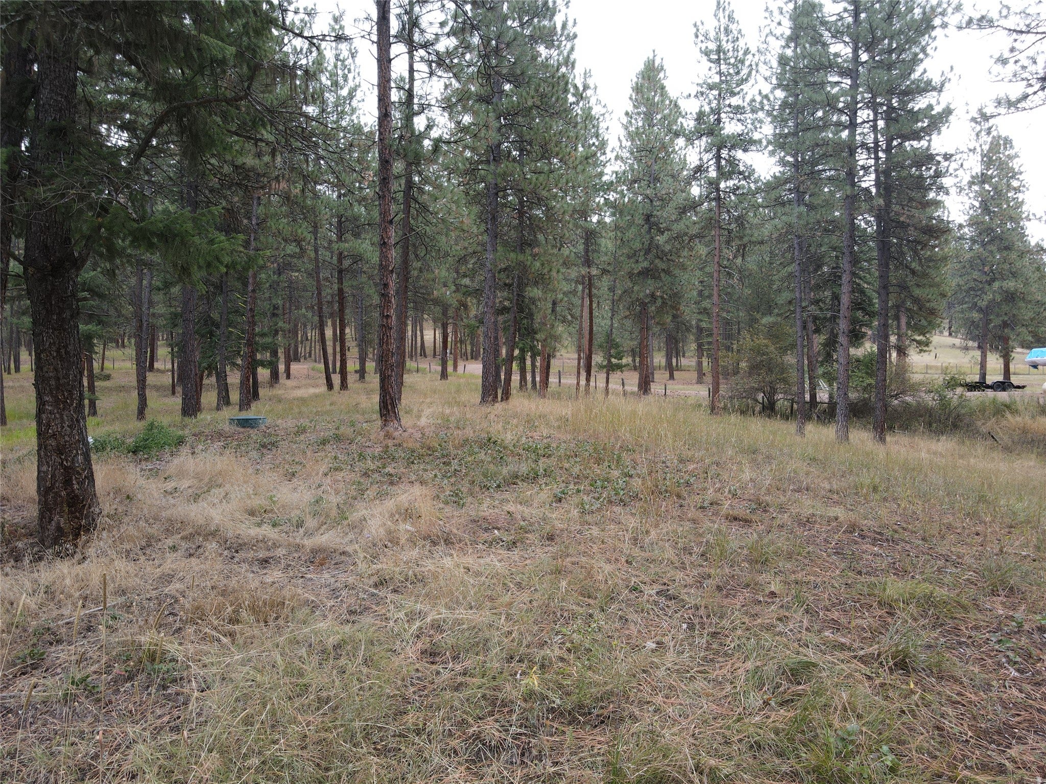 21481 9 Mile Road Huson, MT 59846 - Photo 28 of 43 Gallery Image 28