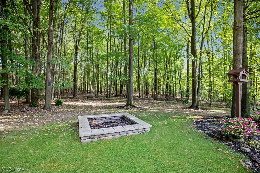 3133 Austintown Warren Road Mineral Ridge, OH 44440 - Photo 8 of 33 Fire pit in back yard area