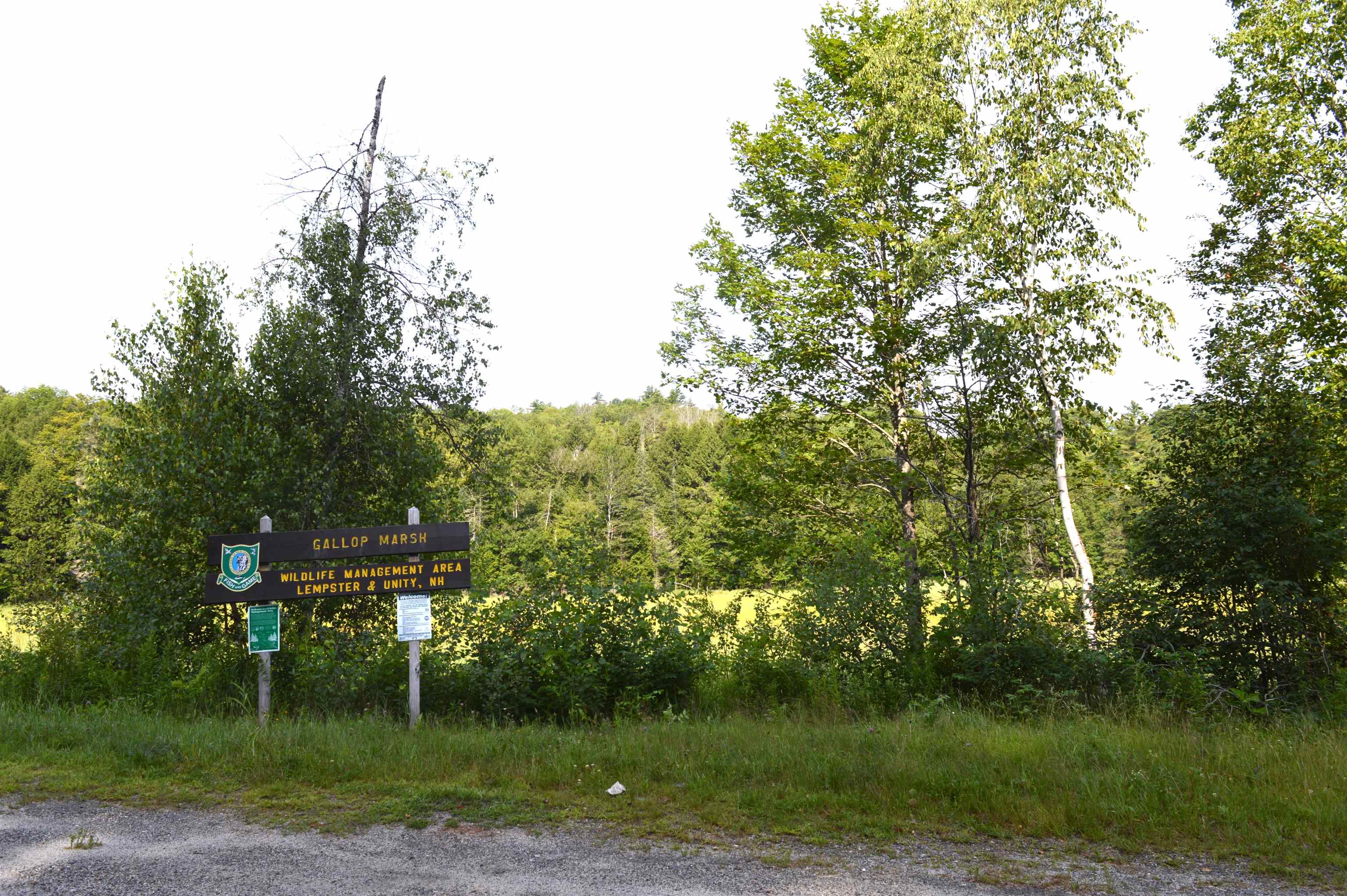 24 Stage Road Lempster, NH 03605 - Photo 23 of 29