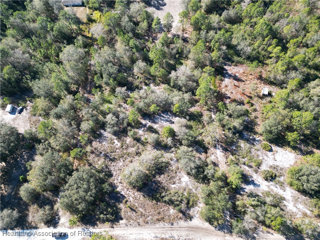 2985 West Quincy Road Avon Park, FL 33825 - Photo 4 of 8