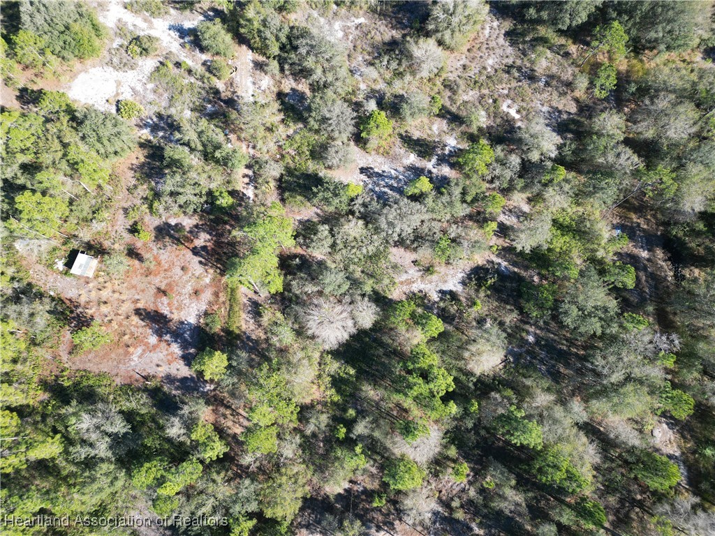 2985 West Quincy Road Avon Park, FL 33825 - Photo 7 of 8