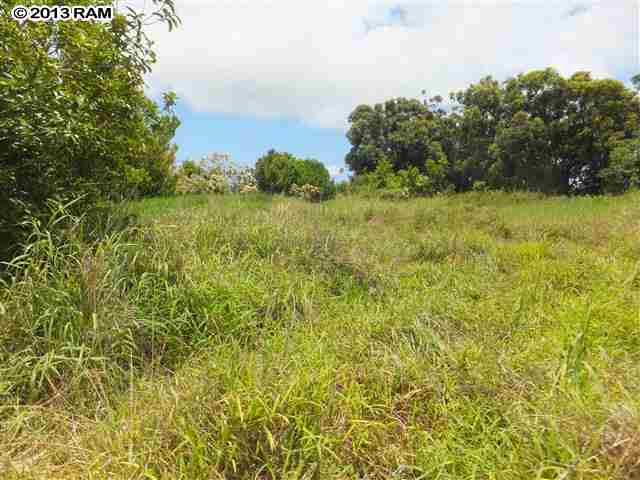 0 Hog Back Road, Unit LOT 17 Haiku, HI 96708 - Photo 4 of 11 a view of a big yard with plants and a large tree