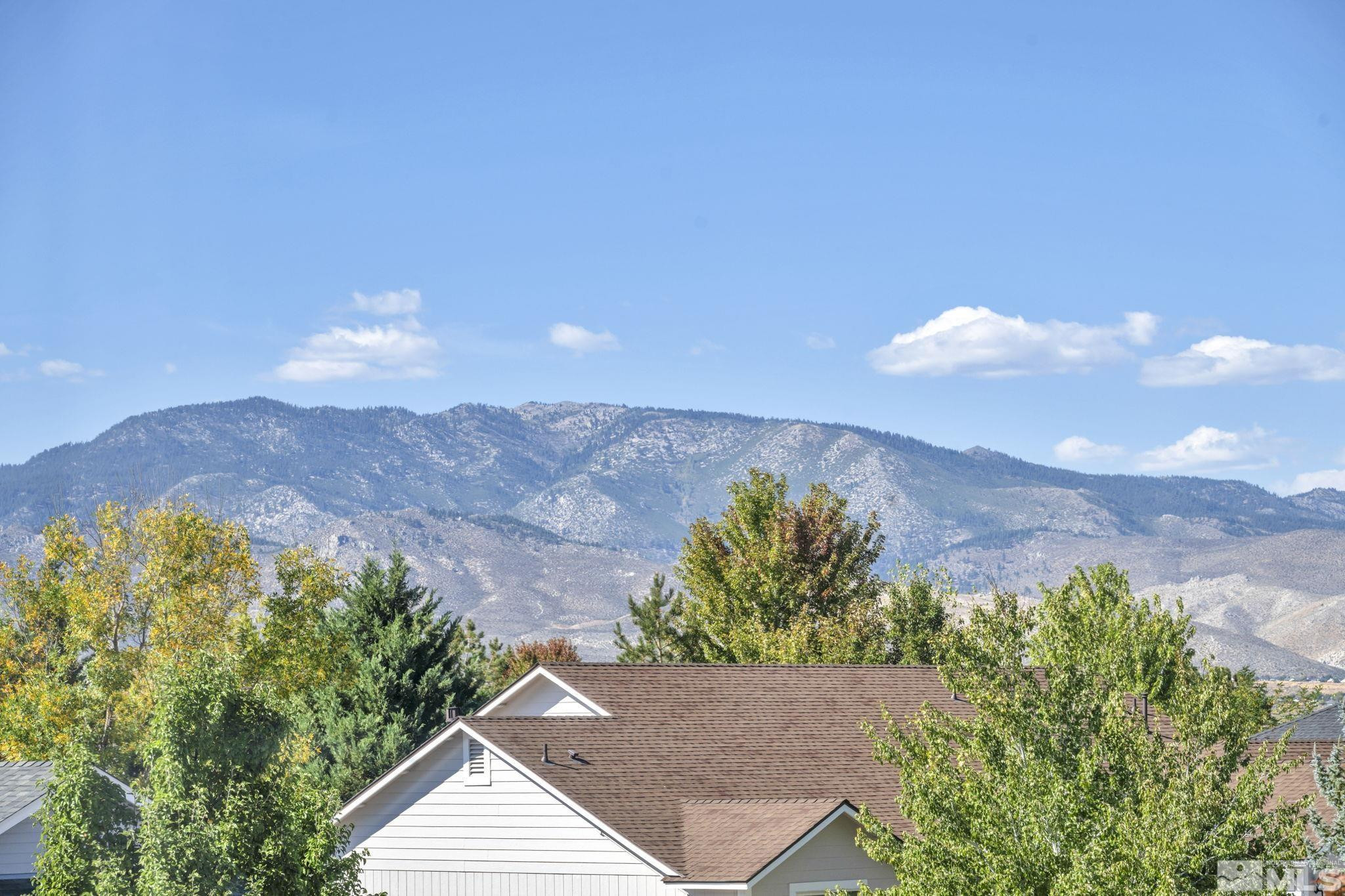 2975 Del Rio Lane Minden, NV 89423 - Photo 38 of 40 Photo 38