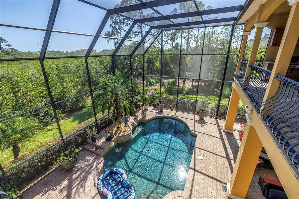 2101 North Pointe Alexis Drive, Unit 1 Tarpon Springs, FL 34689 - Photo 41 of 63