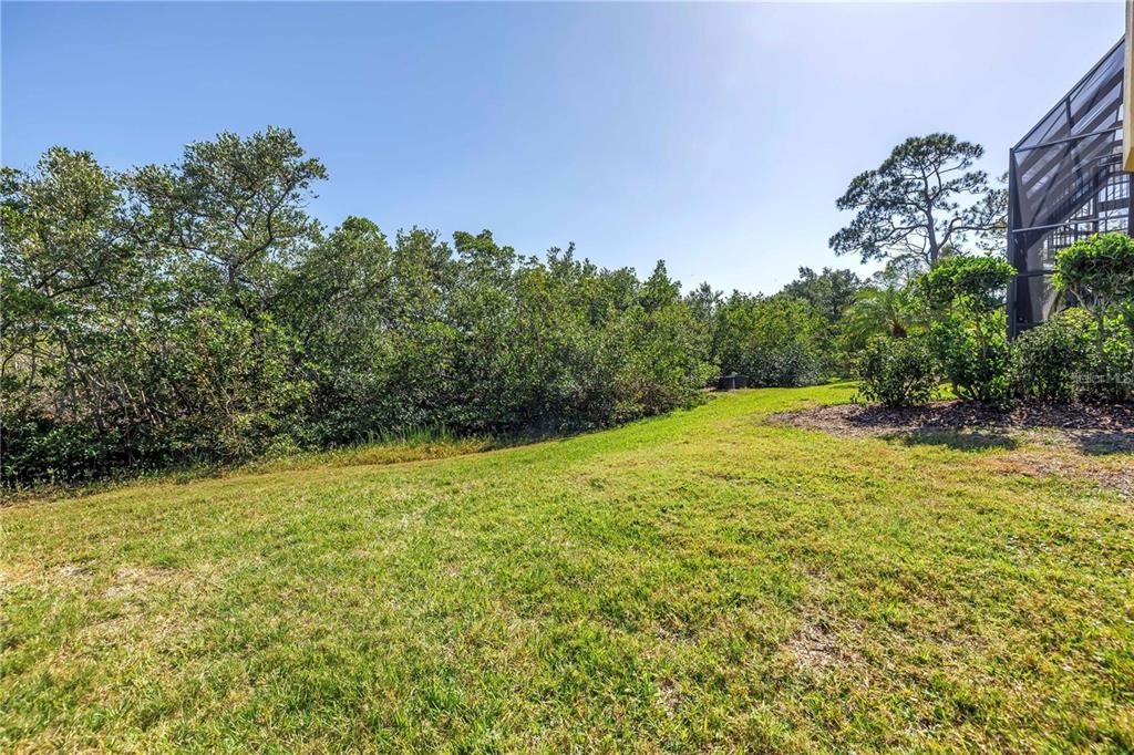 2101 North Pointe Alexis Drive, Unit 1 Tarpon Springs, FL 34689 - Photo 56 of 63 a view of a yard with a house in the background