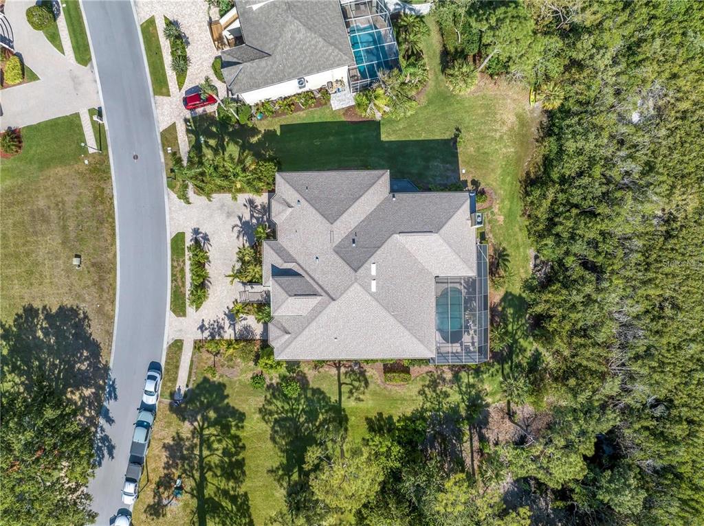 2101 North Pointe Alexis Drive, Unit 1 Tarpon Springs, FL 34689 - Photo 58 of 63