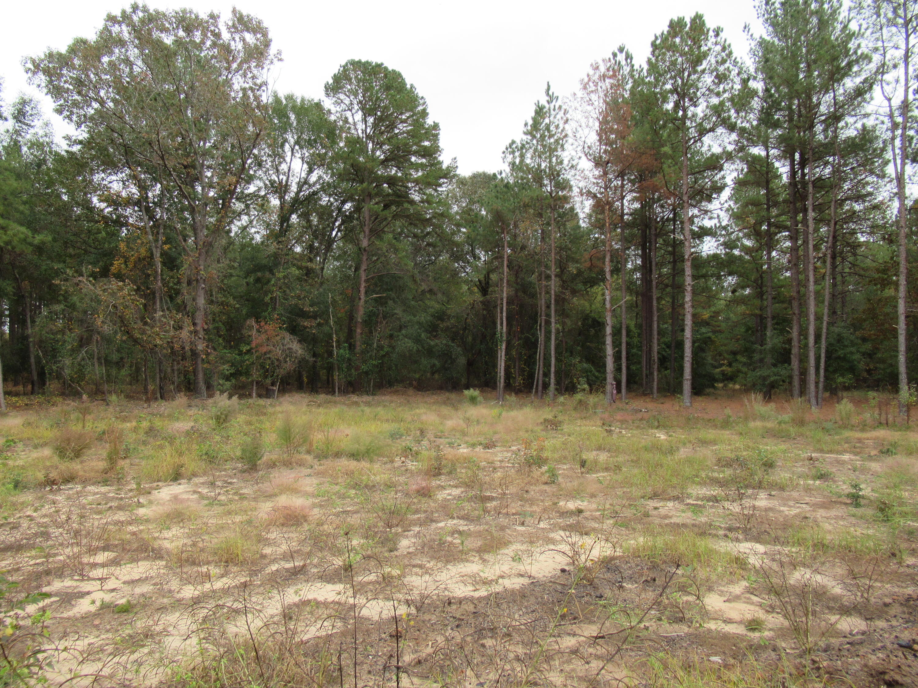 0 Twin Pines Road Keysville, GA 30816 - Photo 7 of 25 IMG_0635