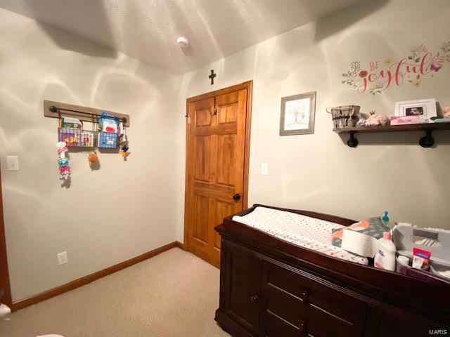 58 Lavern Road Carbondale, IL 62901 - Photo 9 of 17