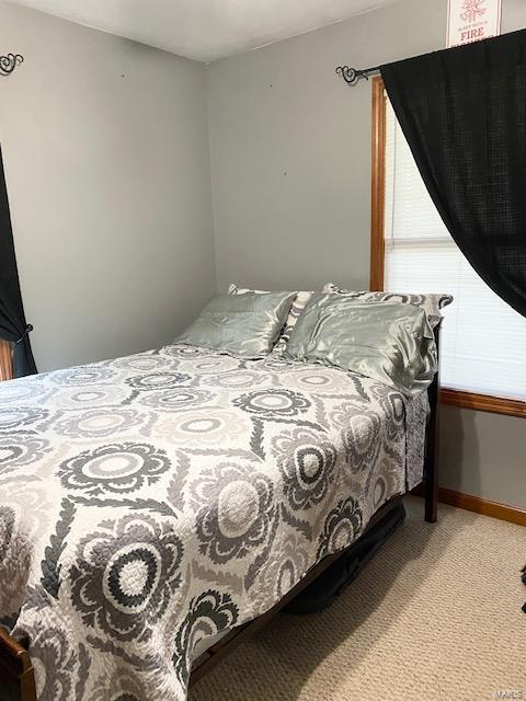 58 Lavern Road Carbondale, IL 62901 - Photo 10 of 17
