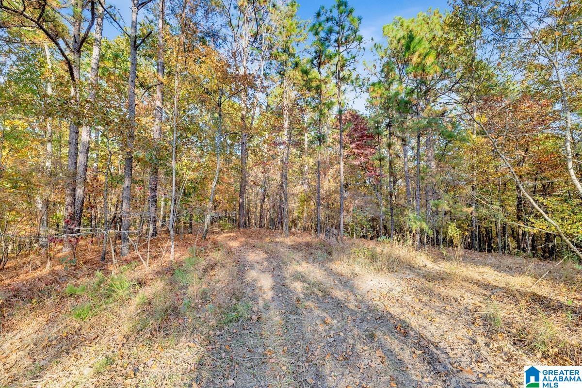 621 Hodgens Road Chelsea, AL 35043 - Photo 48 of 59 Gallery Image 48