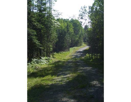 Lot D Grand Falls Road Eustis, ME 04936 - Photo 15 of 25 Yard/Garden.
