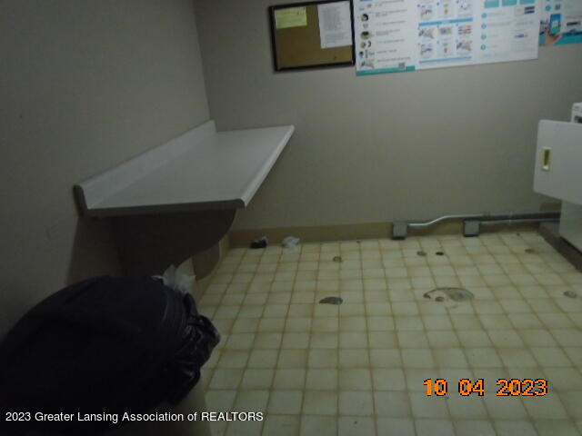 1717 Maple Ridge Road, Unit 42 Haslett, MI 48840 - Photo 14 of 15 DSC02802