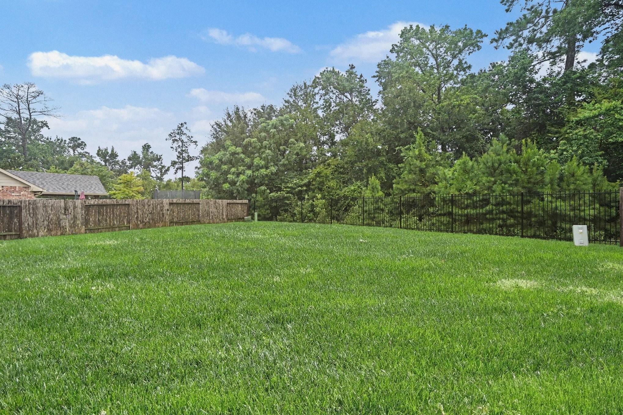 24554 Grayson Falls Lane Spring, TX 77389 - Photo 25 of 27 a view of yard with grass and trees
