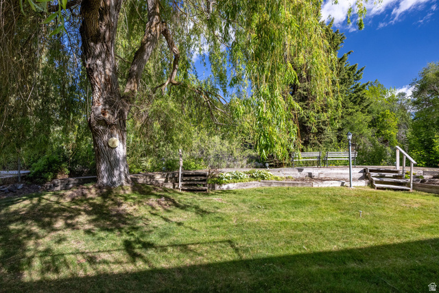 1365 Sumac Drive Logan, UT 84321 - Photo 61 of 66 Expansive grassy lawn with a mature tree providing natural shade