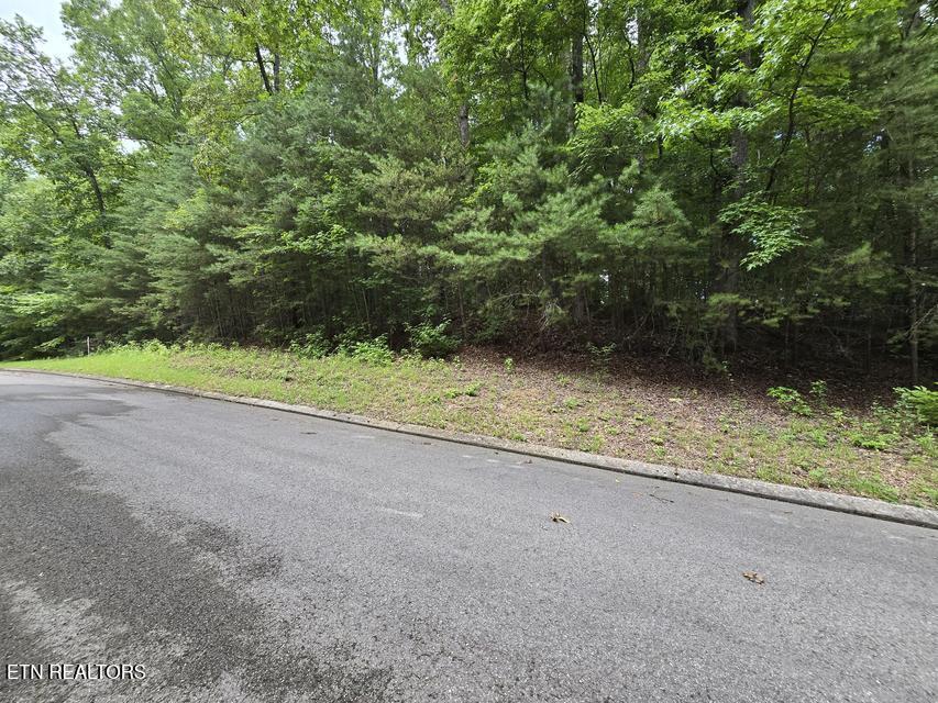 134 Lot Road Dunlap, TN 37327 - Photo 1 of 3 1