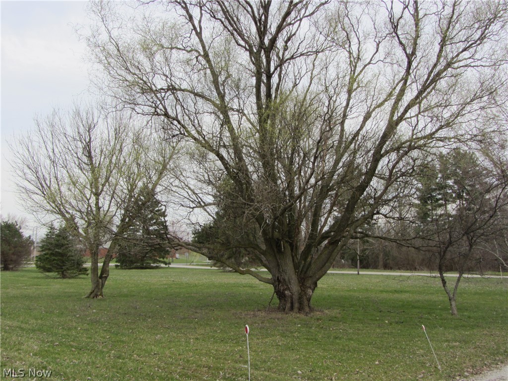 44046 Parsons Road Oberlin, OH 44074 - Photo 5 of 16 Gallery Image 5