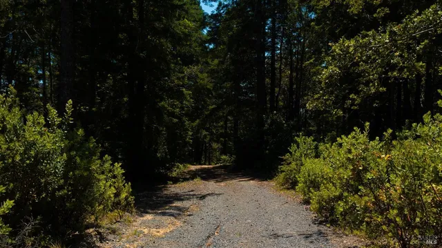a view of outdoor space and covered with trees