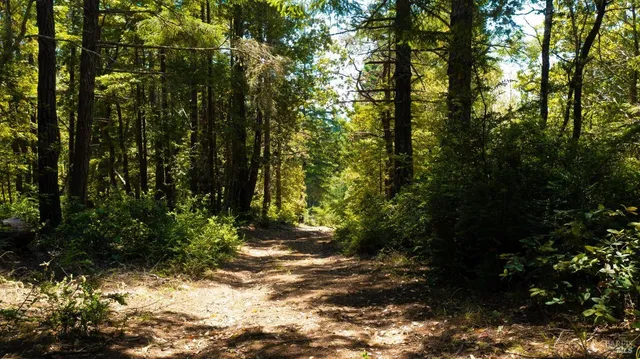 a view of outdoor space and garden