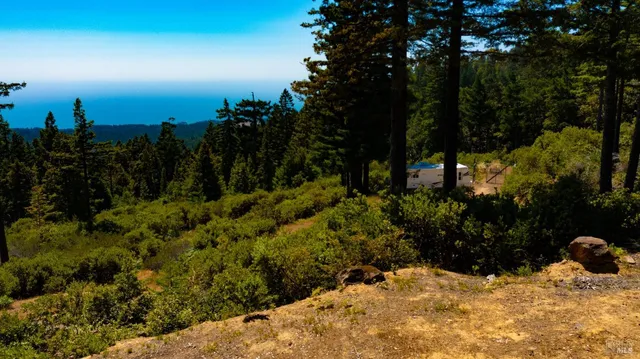 a view of a covered with snow in front of yard and trees