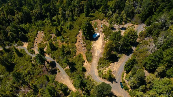 a view of a house with a tree