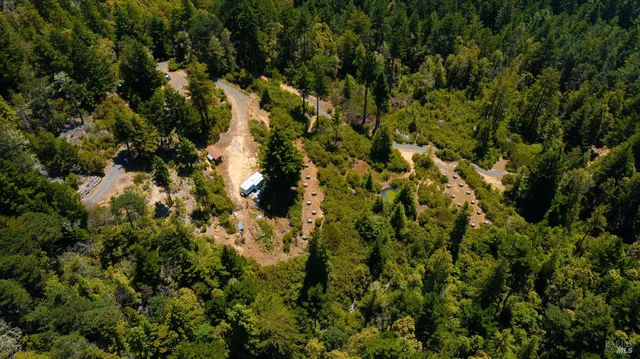 a view of a house with a lush green forest
