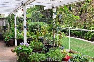 2725 Firethorne Avenue Fullerton, CA 92835 - Photo 9 of 9 a view of a garden with plants