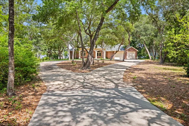 a view of a yard with plants and large trees
