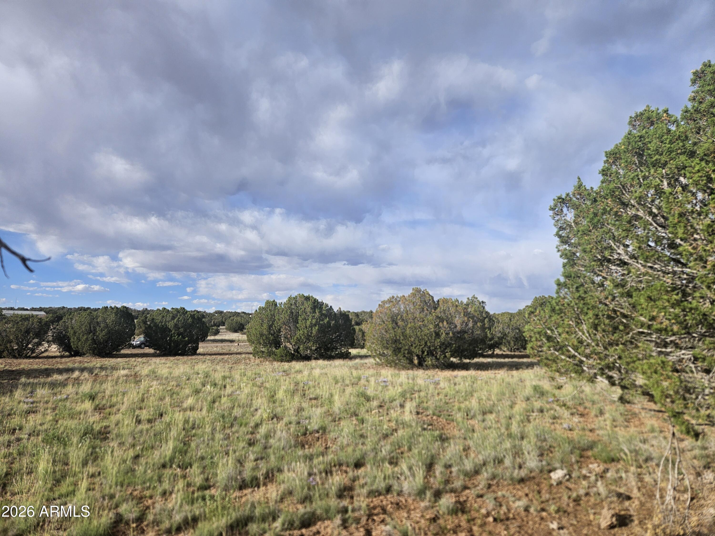 2429 Bourdon Ranch Road, Unit F Show Low, AZ 85901 - Photo 4 of 11
