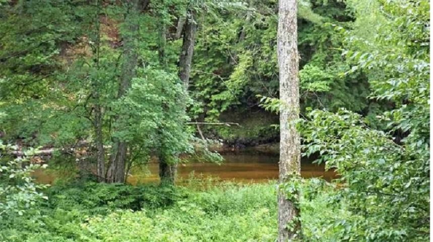 7-54-2 Dustin Road Contoocook, NH 03229 - Photo 1 of 3