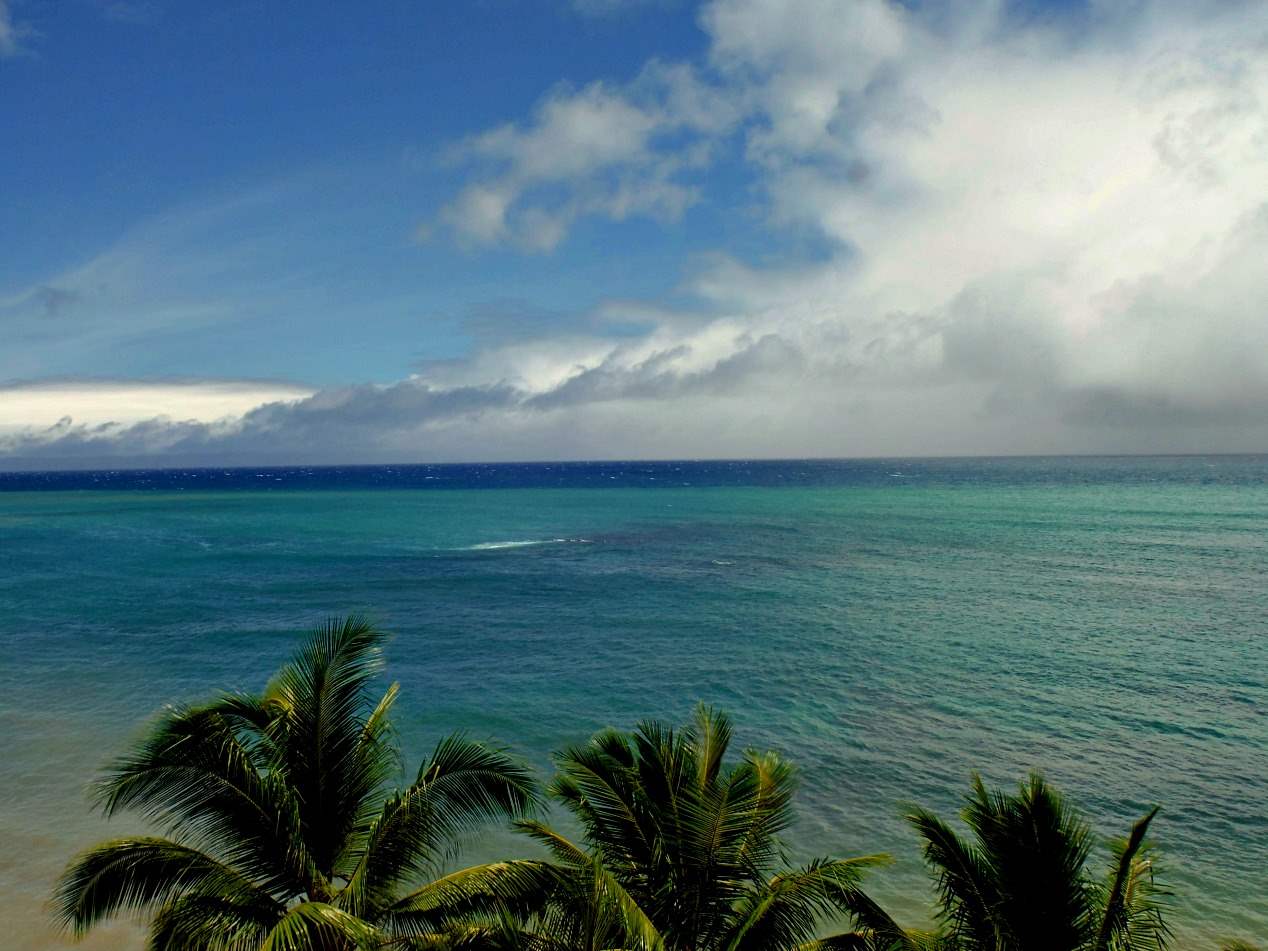 4299 Lower Honoapiilani Road, Unit 354 Lahaina, HI 96761 - Photo 2 of 30