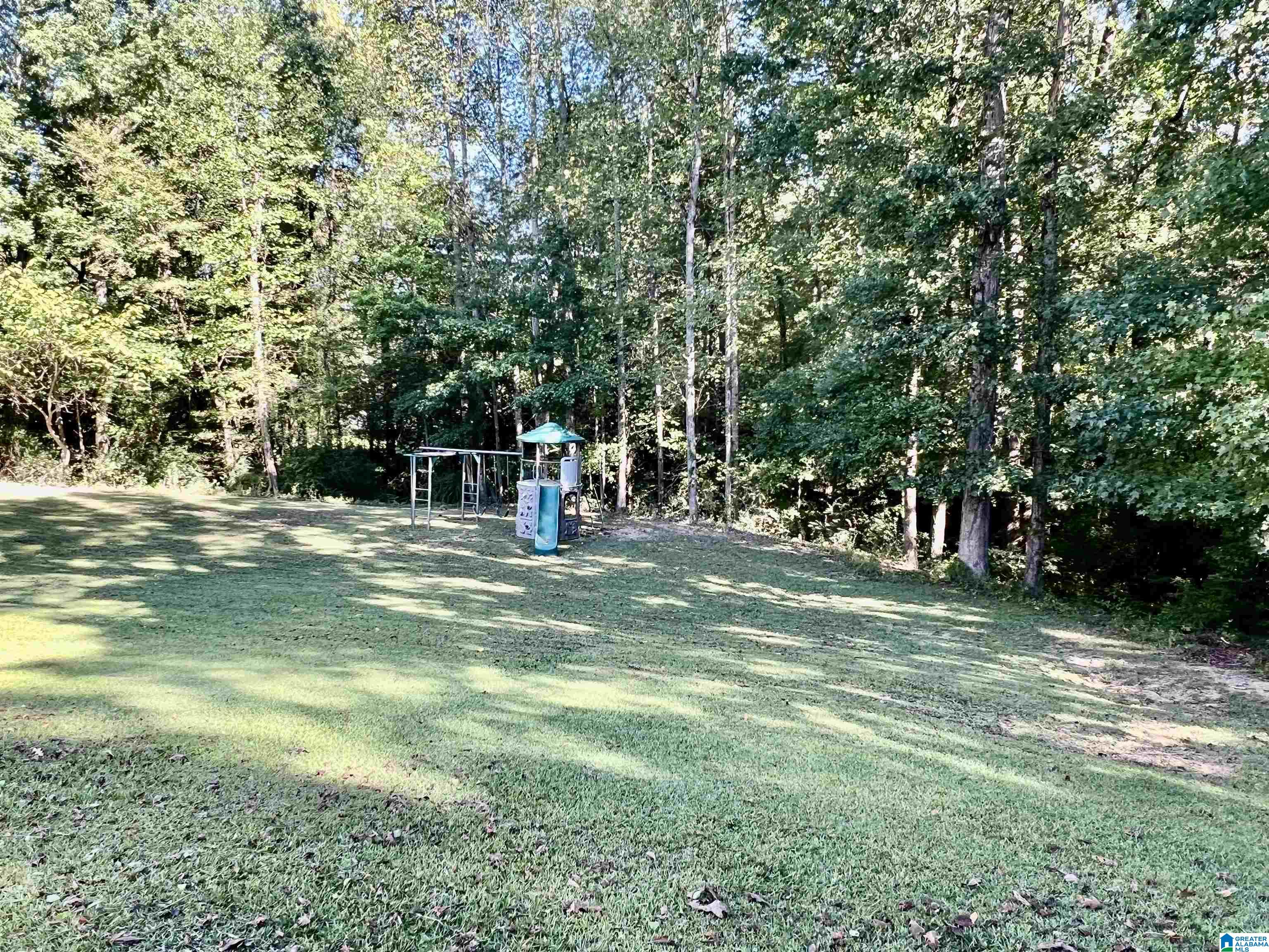 6042 Springview Drive Mount Olive, AL 35117 - Photo 48 of 55