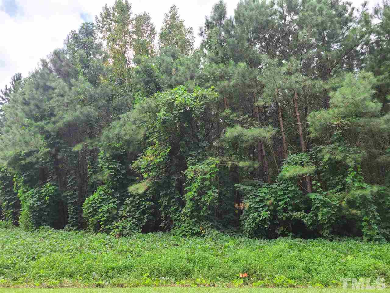 0 Cheves Road Zebulon, NC 27597 - Photo 2 of 3