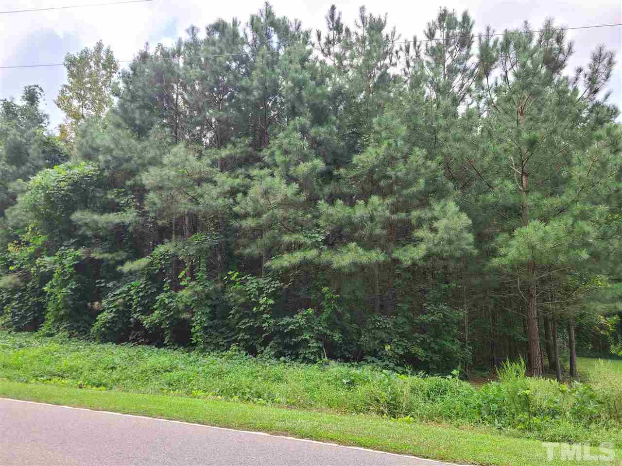 0 Cheves Road Zebulon, NC 27597 - Photo 3 of 3