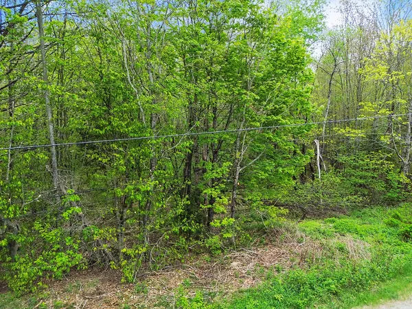 $60,000 | 2 Curtis Road, Searsport, ME 04974