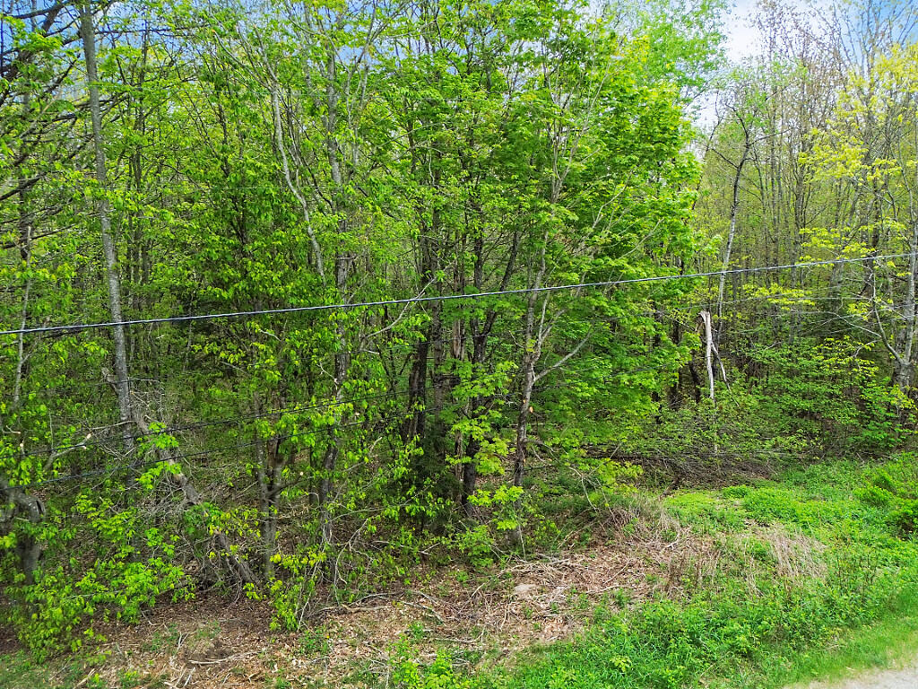 2 Curtis Road Searsport, ME 04974 - Photo 10 of 11 15_DJI_0431_DxO_mls