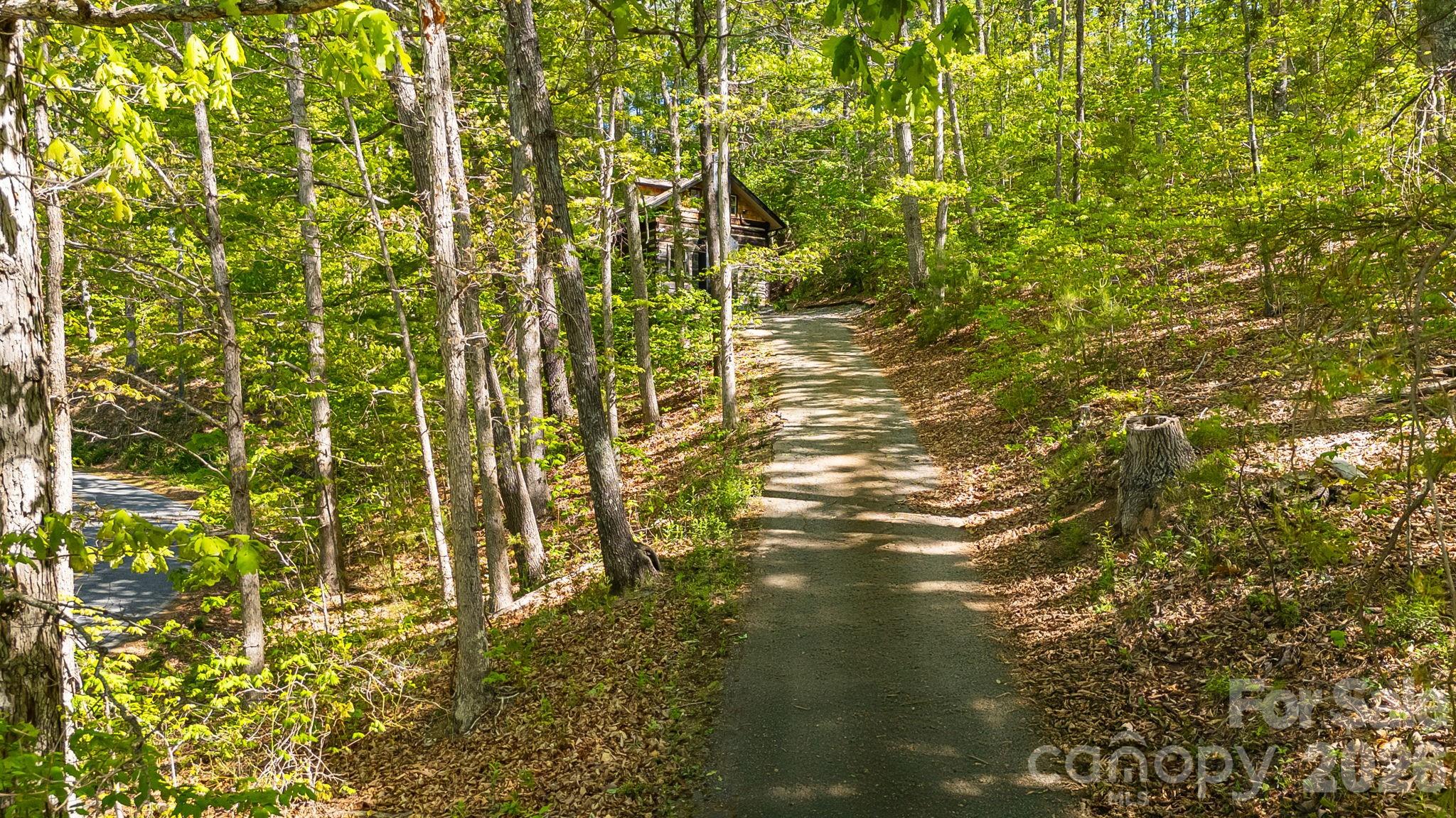 155 Spivey Mountain Road Asheville, NC 28806 - Photo 40 of 48