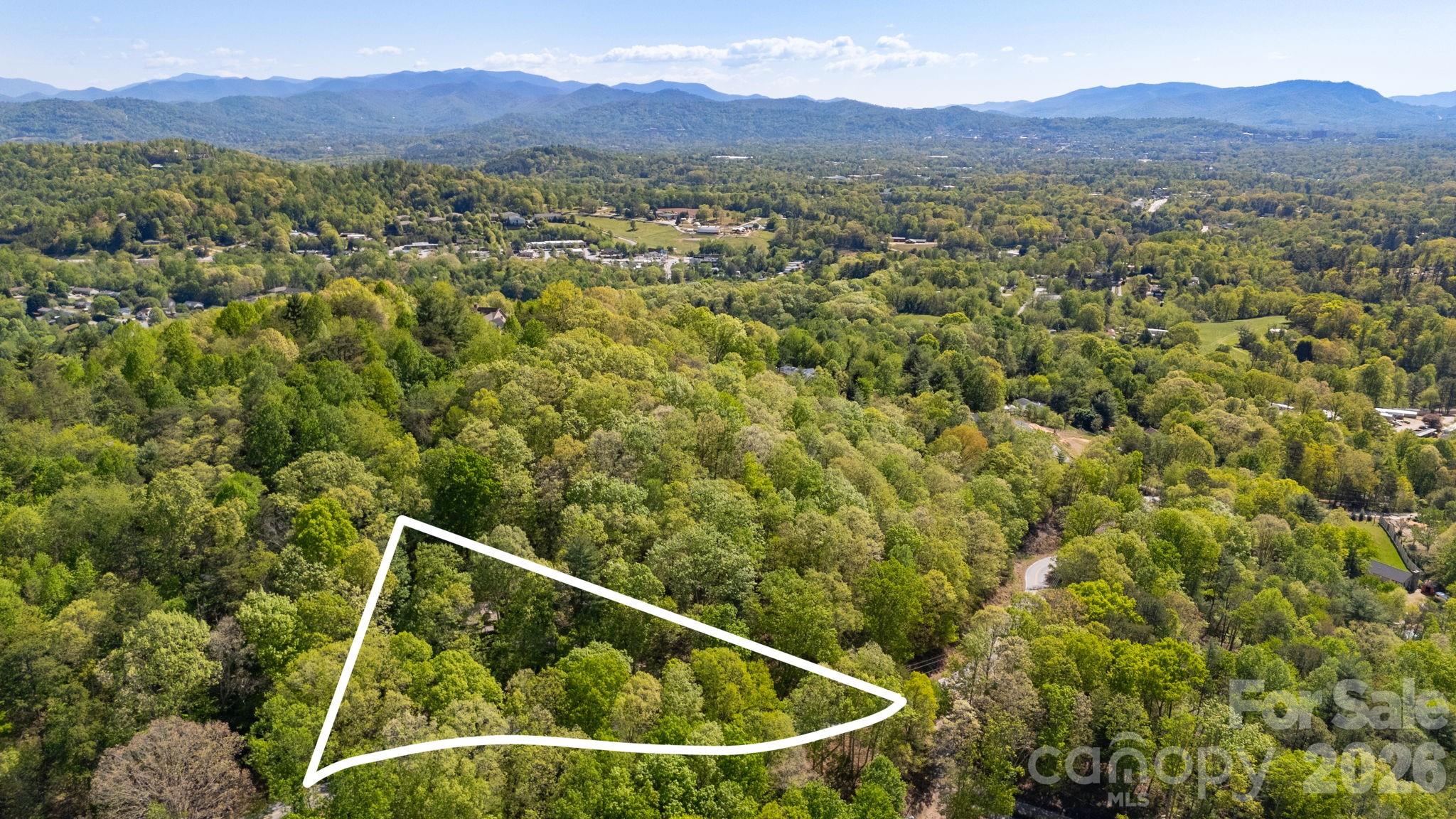 155 Spivey Mountain Road Asheville, NC 28806 - Photo 44 of 48